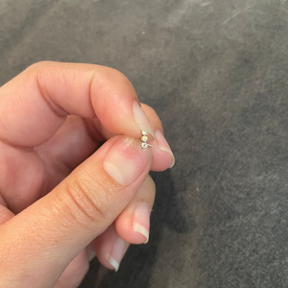 Local Event - Nose Rings